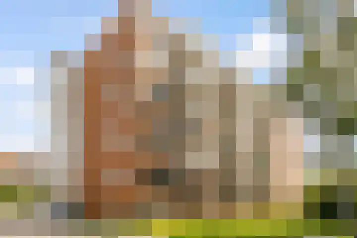 Palembangweg 24 Almere thumbnail 34