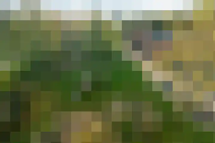 Palembangweg 68 Almere thumbnail 39