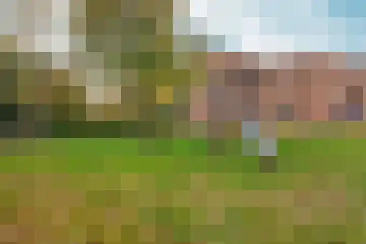 Palembangweg 68 Almere thumbnail 45