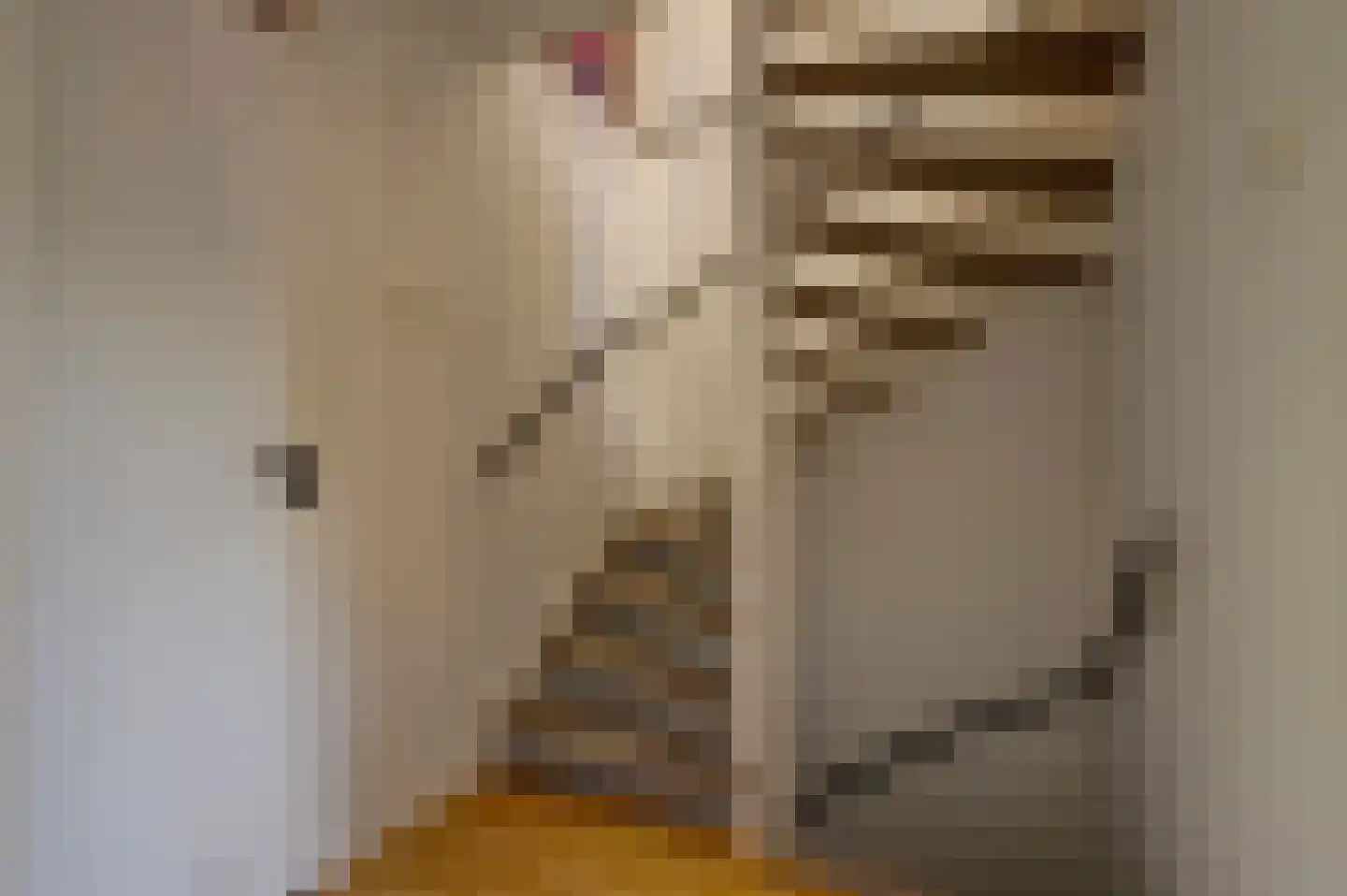 Palenstein 34 Gouda thumbnail 23