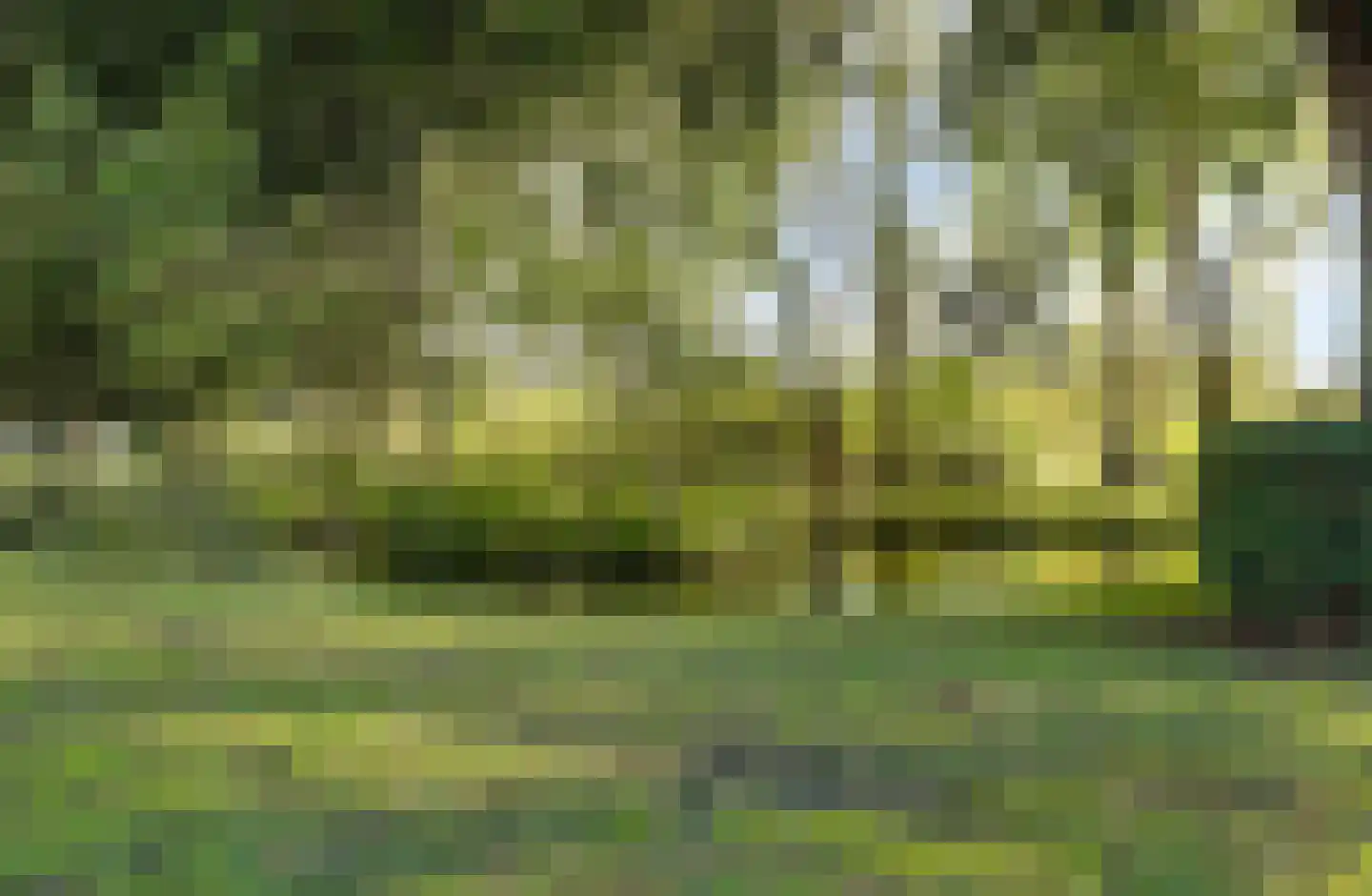 Palenstein 34 Gouda thumbnail 43