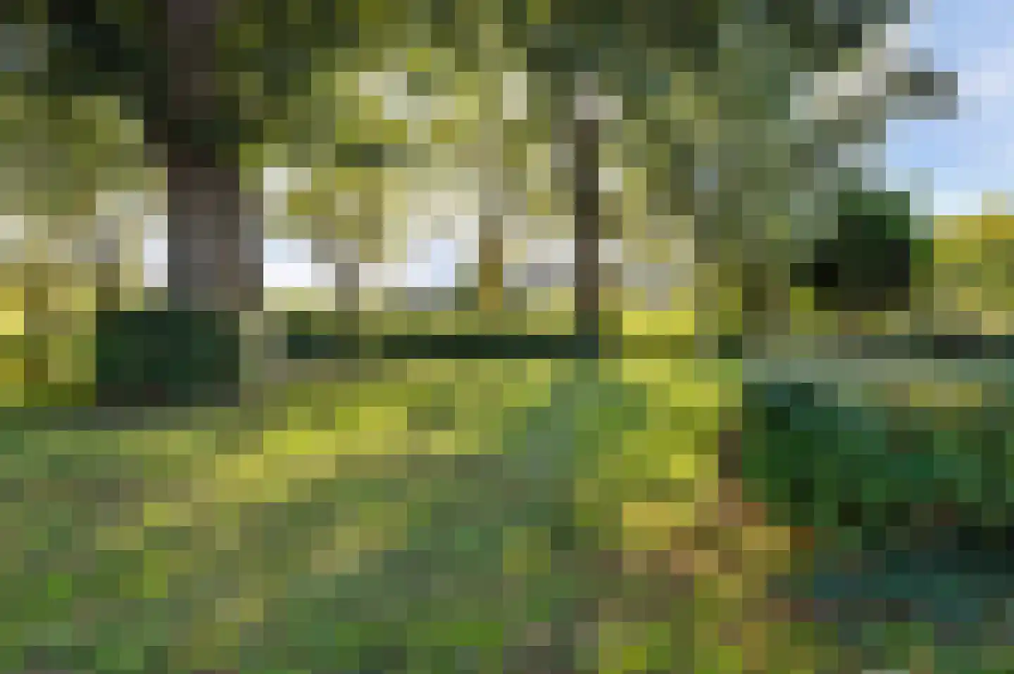 Palenstein 34 Gouda thumbnail 44