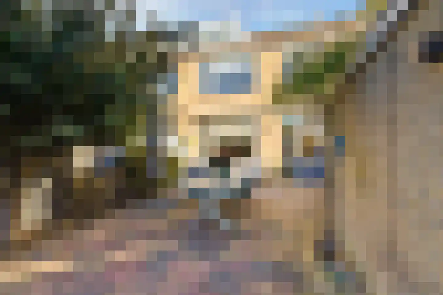 Palenstein 34 Gouda thumbnail 6