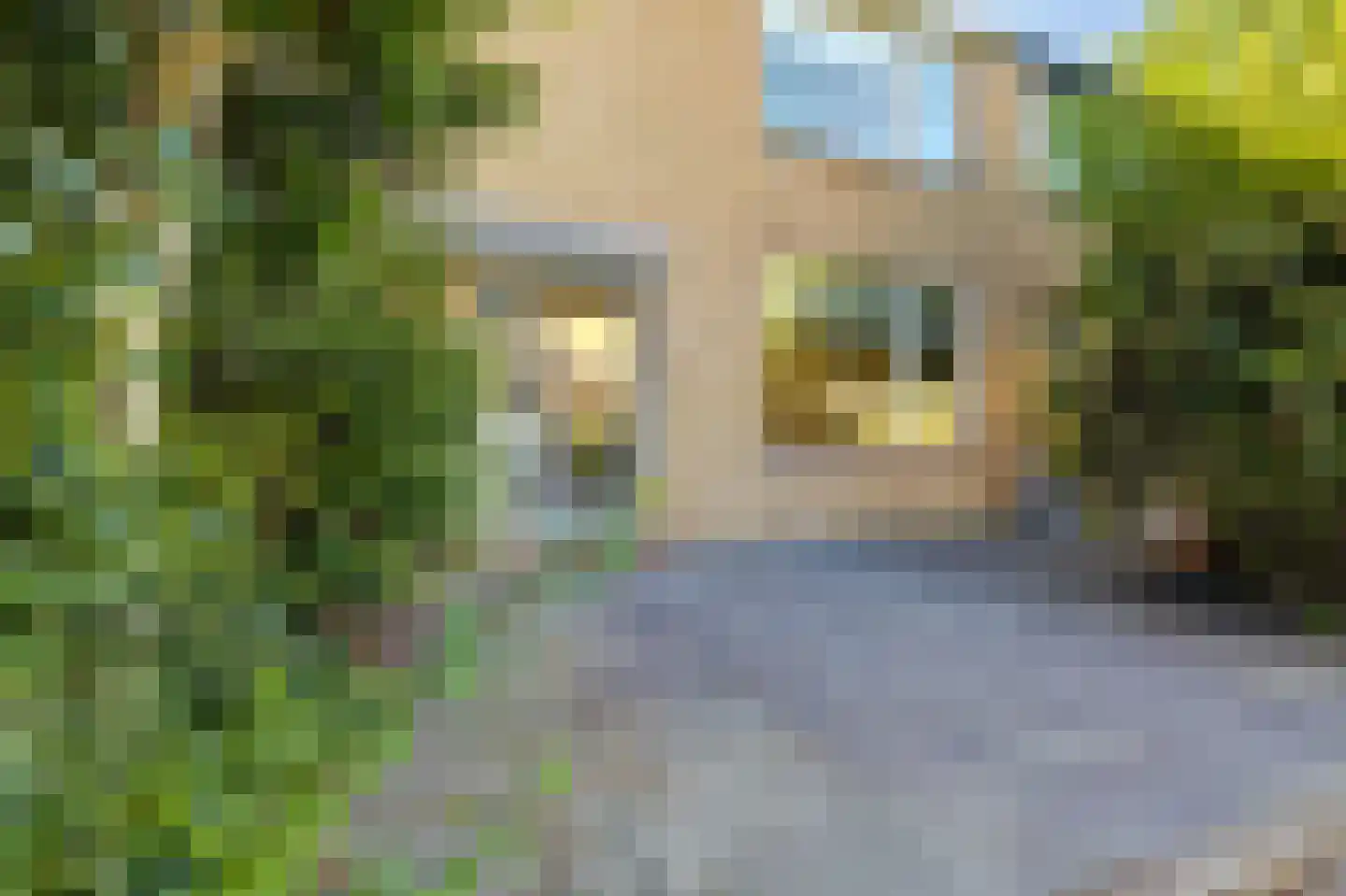 Palenstein 34 Gouda thumbnail 8