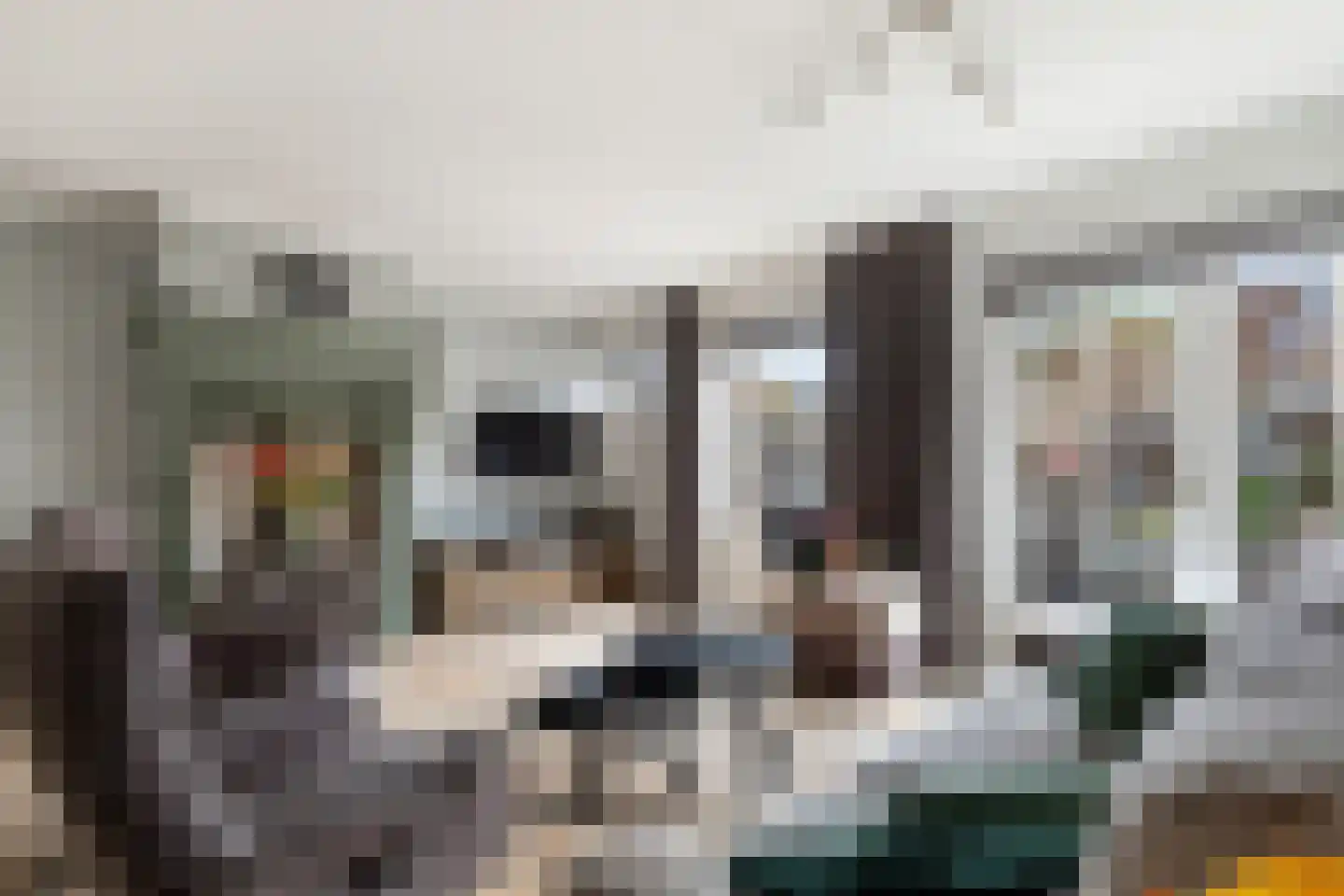 Palermohof 11 Rotterdam thumbnail 12