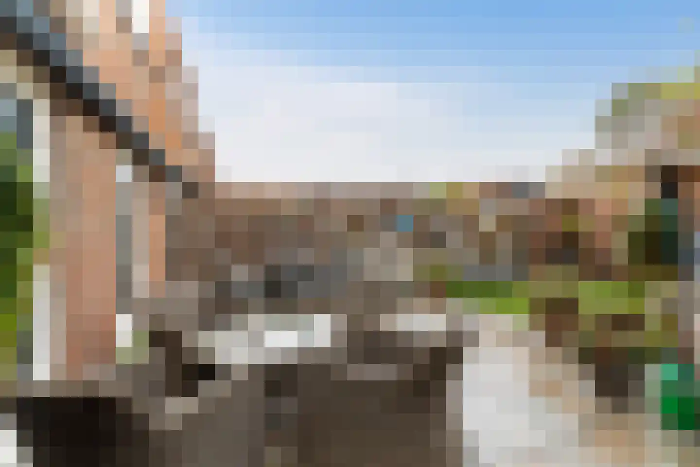 Palermohof 11 Rotterdam thumbnail 15