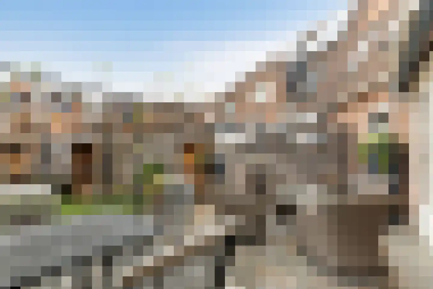 Palermohof 11 Rotterdam thumbnail 16