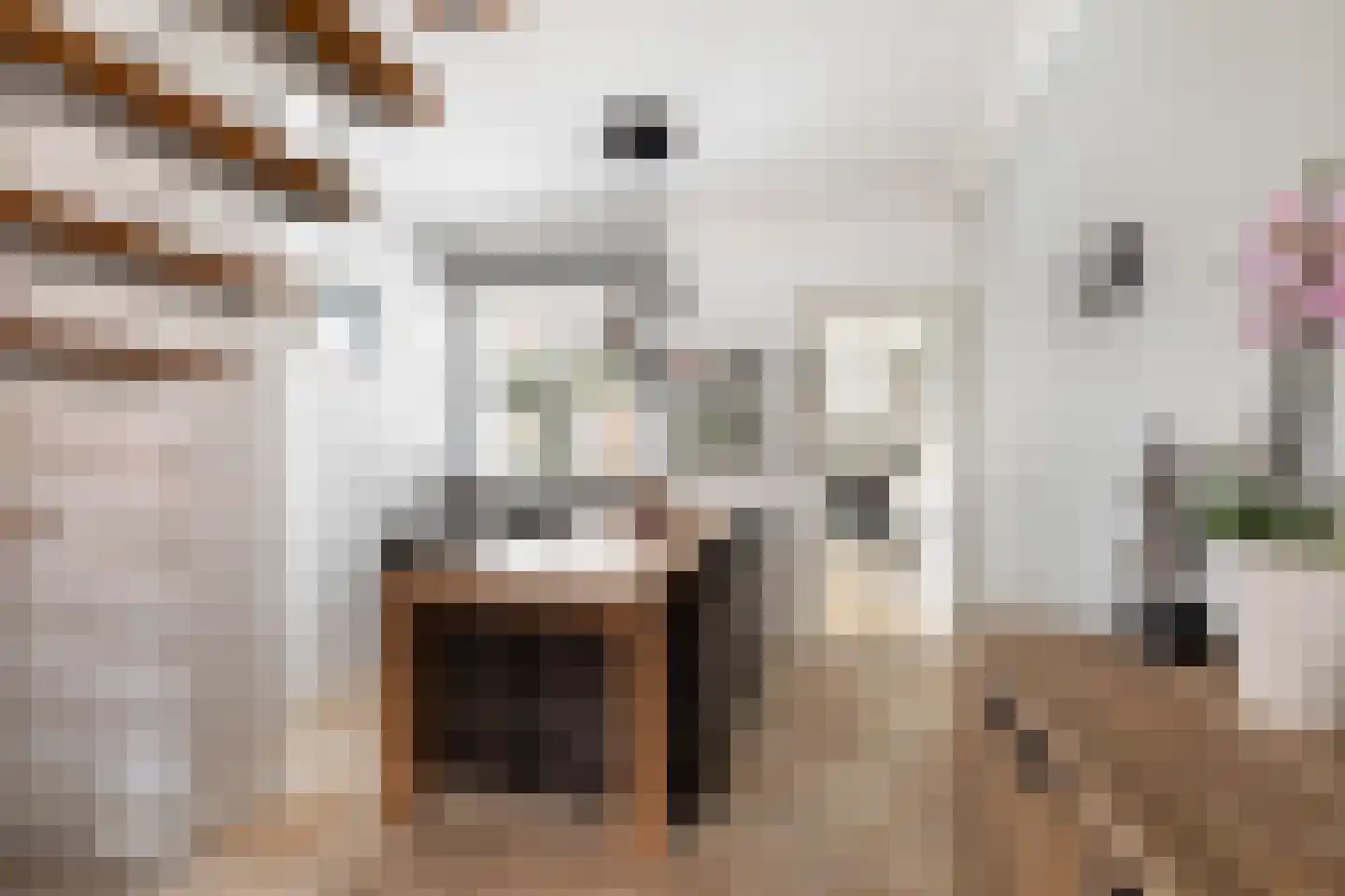 Palermohof 11 Rotterdam thumbnail 22
