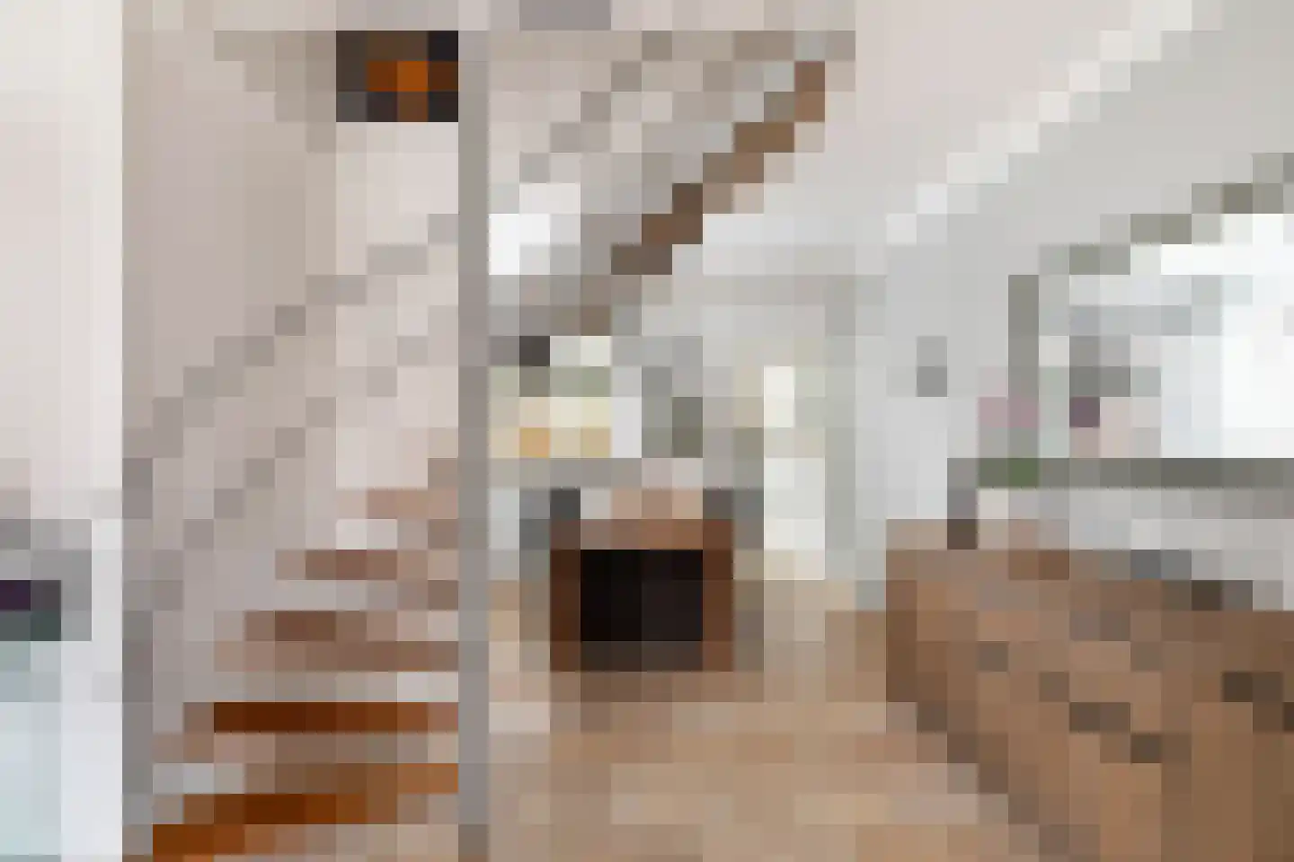 Palermohof 11 Rotterdam thumbnail 26