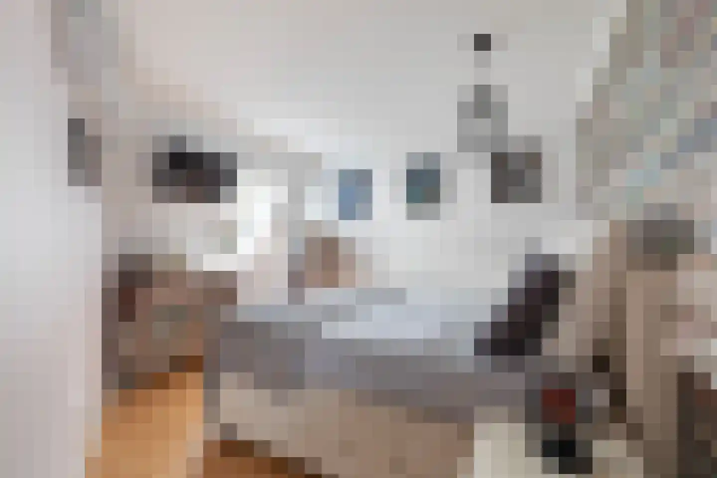 Palermohof 11 Rotterdam thumbnail 34