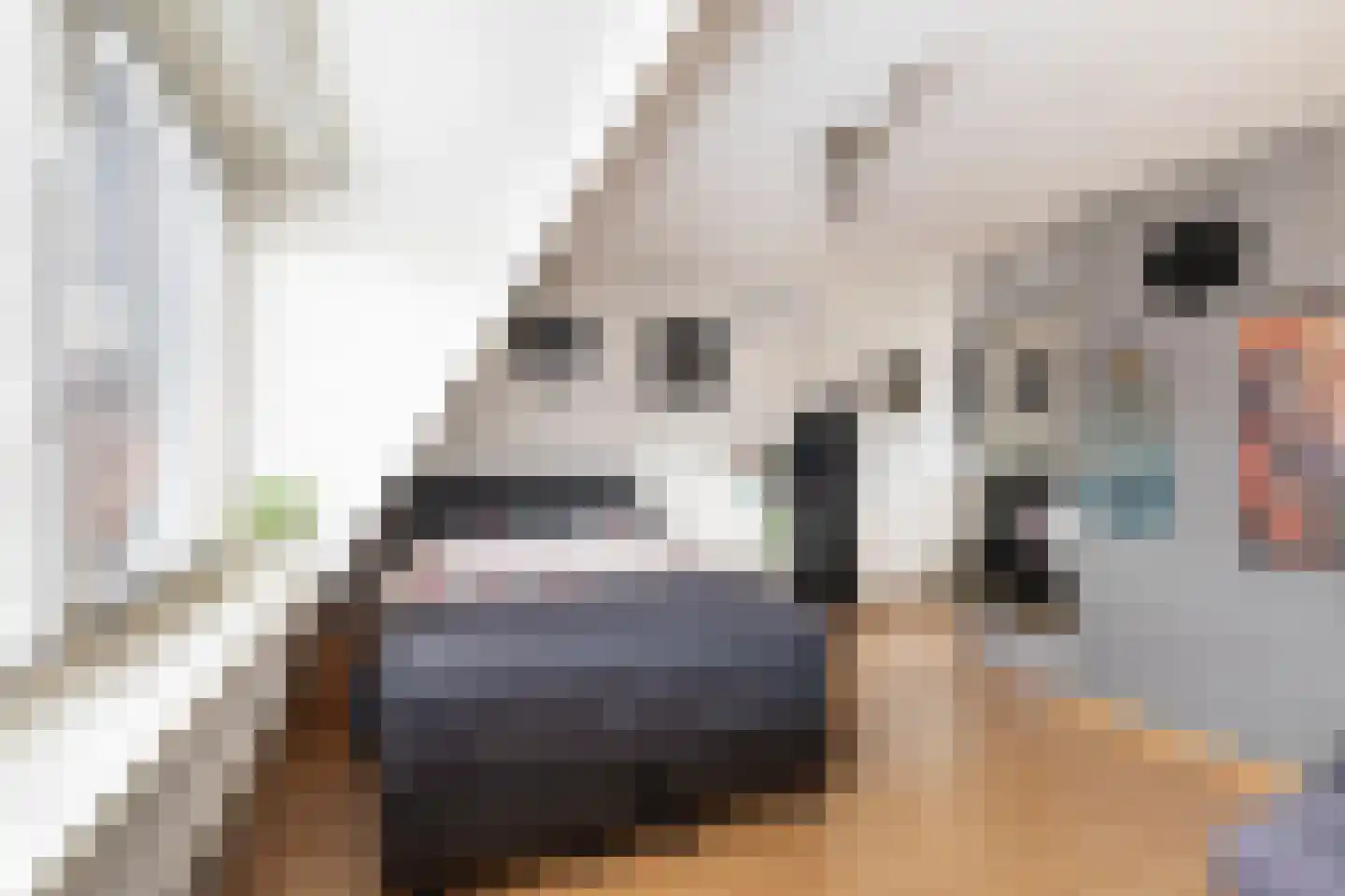 Palermohof 11 Rotterdam thumbnail 51