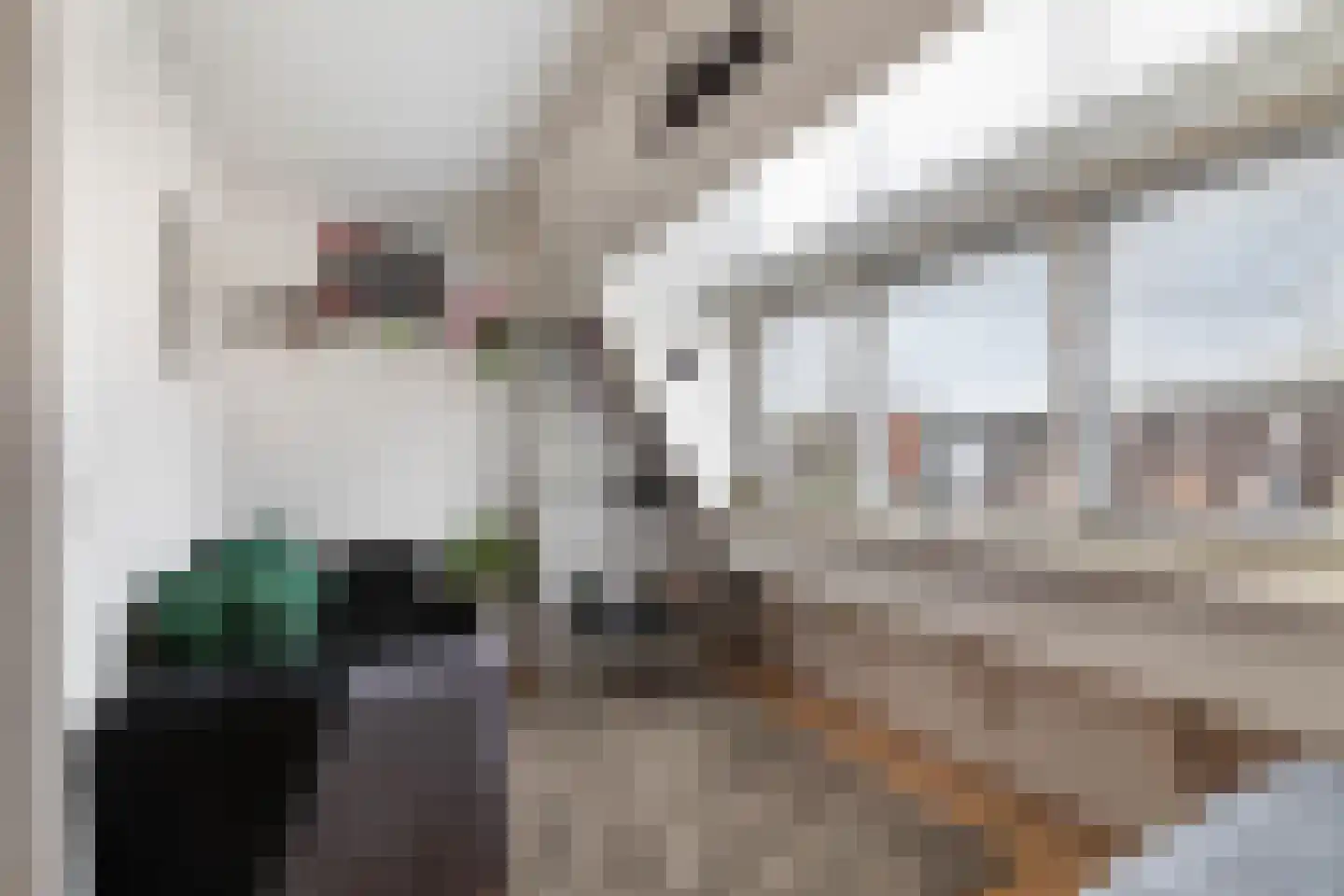 Palermohof 11 Rotterdam thumbnail 53
