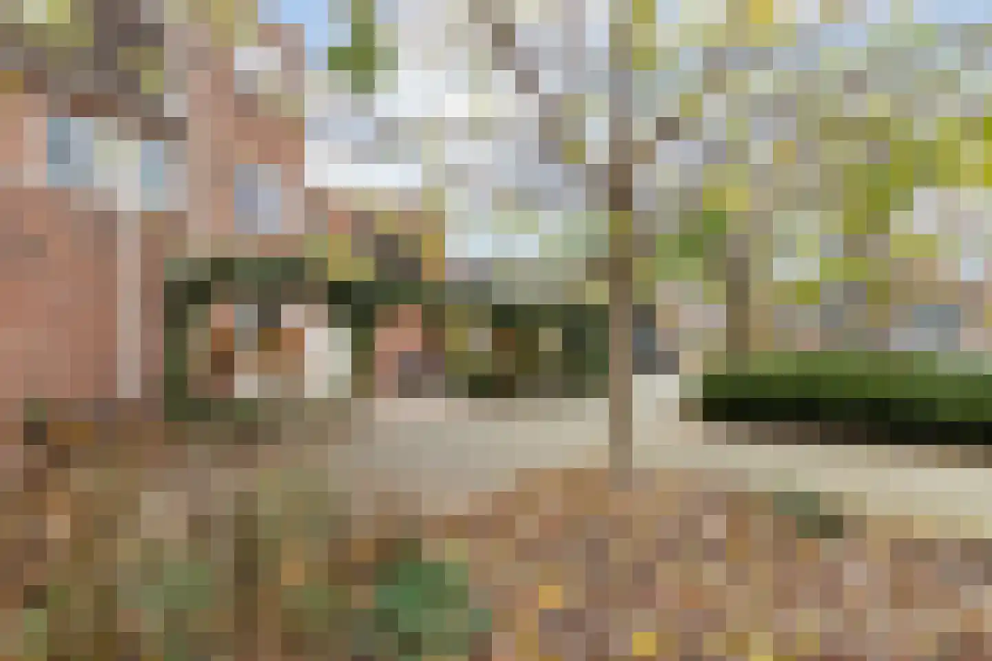 Palermohof 11 Rotterdam thumbnail 58