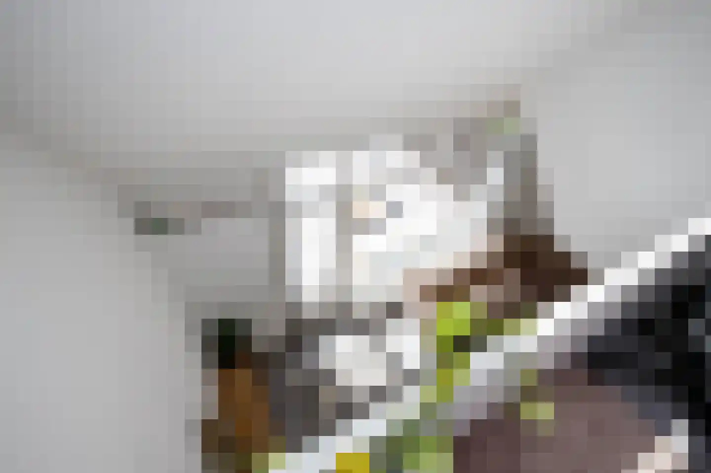 Palermohof 29 Rotterdam thumbnail 19