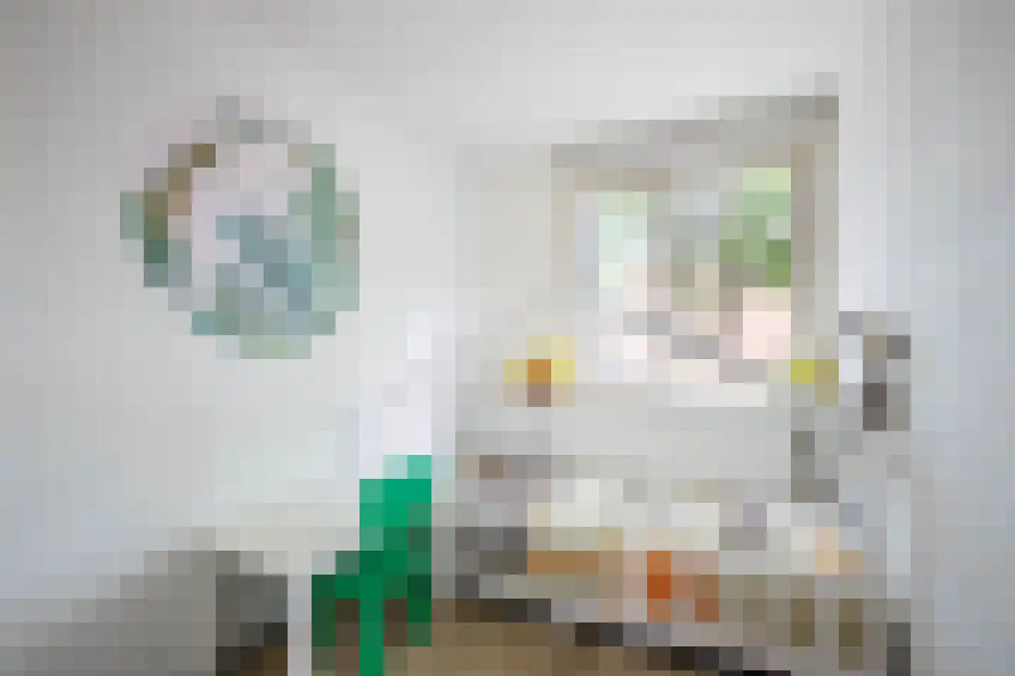 Palermohof 29 Rotterdam thumbnail 20