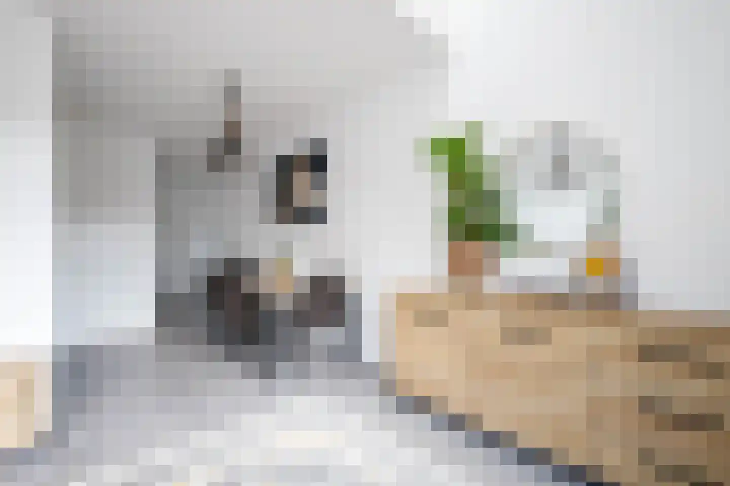 Palermohof 29 Rotterdam thumbnail 5