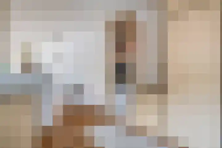 Palermohof 39 Rotterdam thumbnail 13
