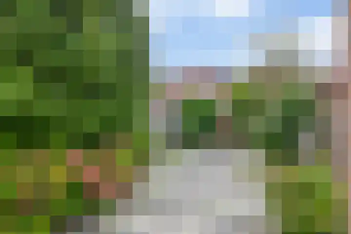 Palermohof 39 Rotterdam thumbnail 29