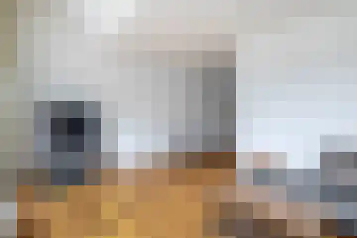 Palermohof 39 Rotterdam thumbnail 9
