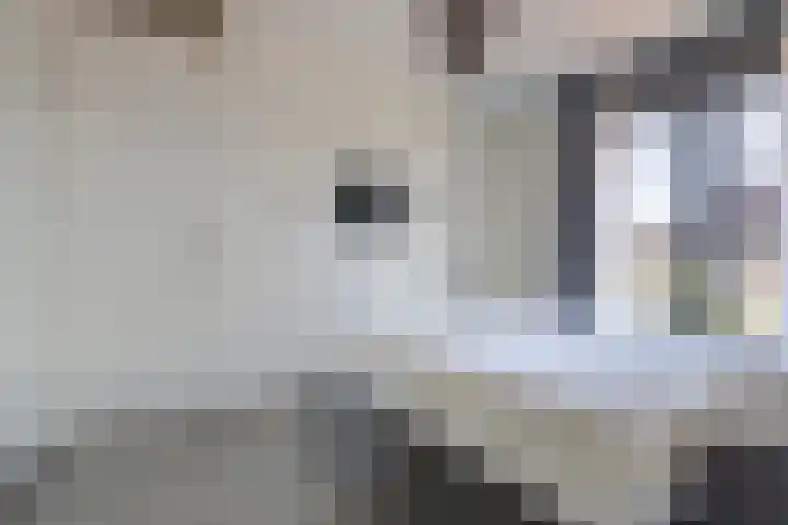 Palesstraat 6 Naaldwijk thumbnail 13