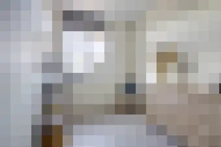 Palesstraat 6 Naaldwijk thumbnail 16