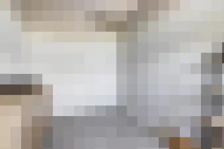 Palesstraat 6 Naaldwijk thumbnail 17