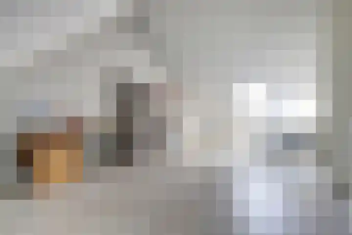 Palesstraat 6 Naaldwijk thumbnail 18