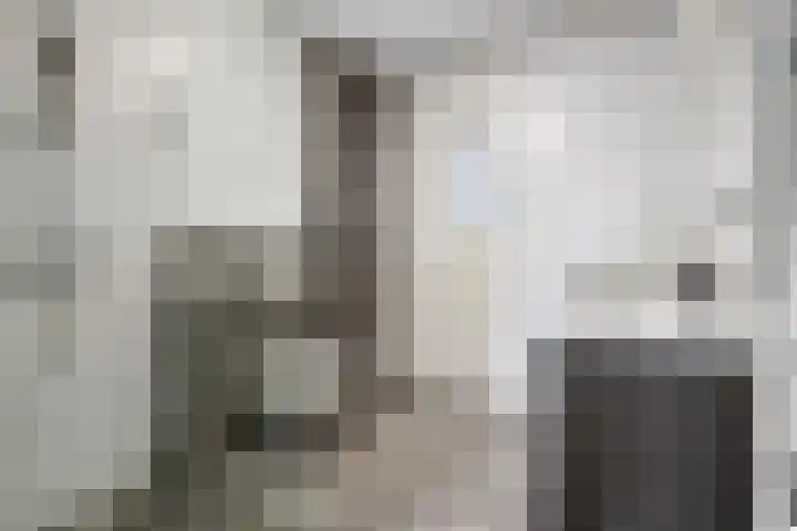 Palesstraat 6 Naaldwijk thumbnail 20