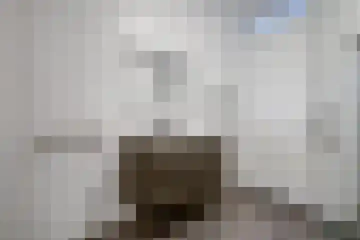 Palesstraat 6 Naaldwijk thumbnail 21