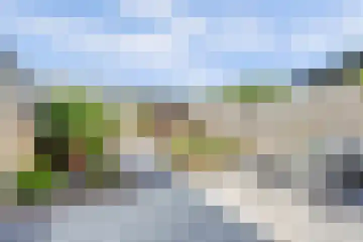 Palesstraat 6 Naaldwijk thumbnail 24