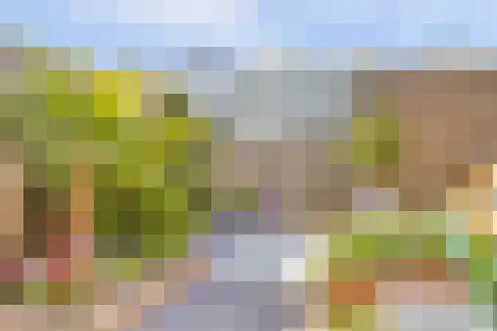 Palesstraat 6 Naaldwijk thumbnail 26