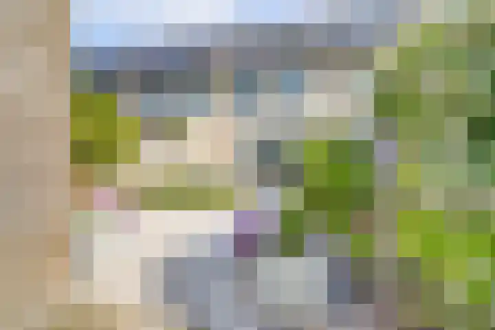 Palesstraat 6 Naaldwijk thumbnail 28
