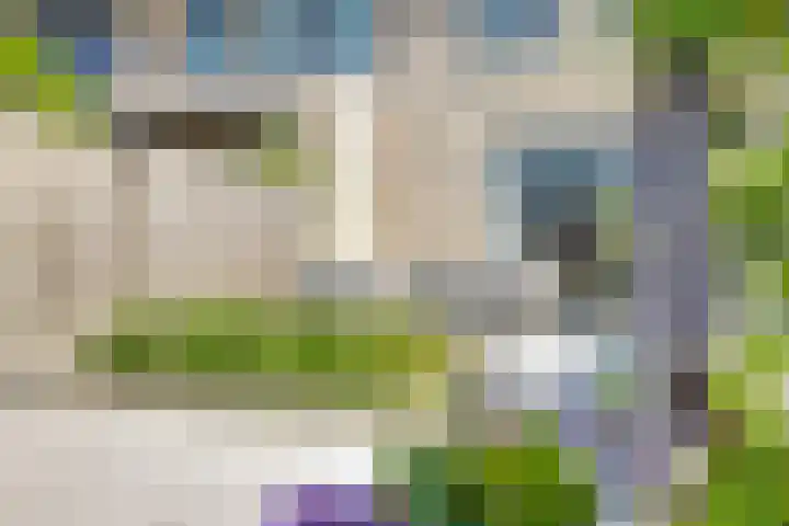 Palesstraat 6 Naaldwijk thumbnail 29