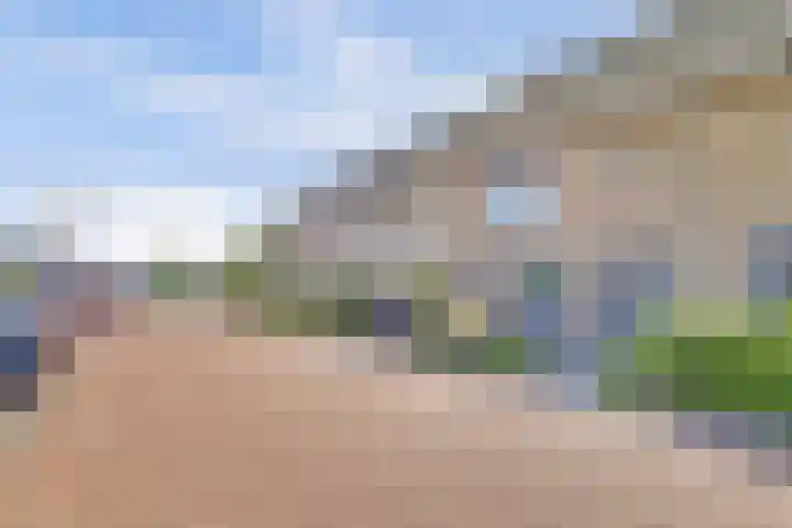Palesstraat 6 Naaldwijk thumbnail 32