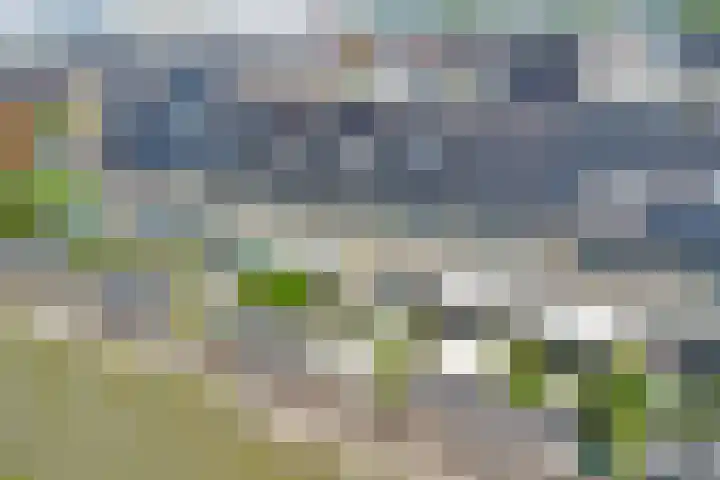 Palesstraat 6 Naaldwijk thumbnail 34