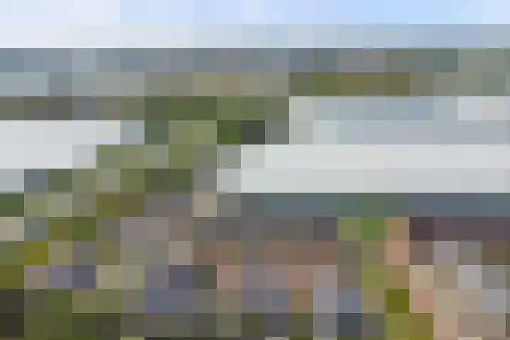 Palesstraat 6 Naaldwijk thumbnail 36