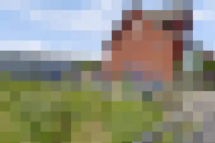 Palesstraat 6 Naaldwijk thumbnail 38