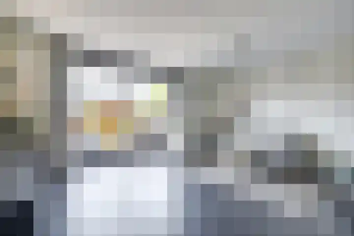 Palesstraat 6 Naaldwijk thumbnail 4