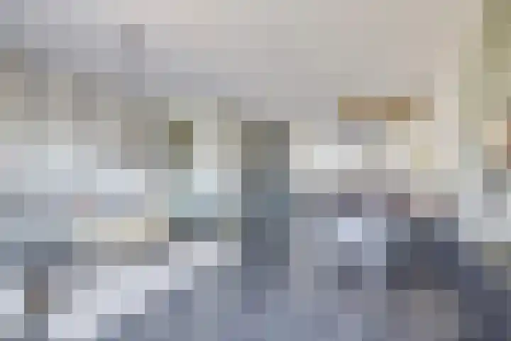 Palesstraat 6 Naaldwijk thumbnail 5