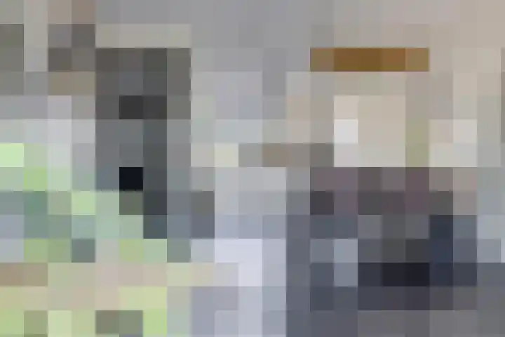 Palesstraat 6 Naaldwijk thumbnail 7