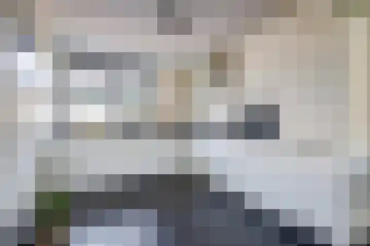 Palesstraat 6 Naaldwijk thumbnail 9