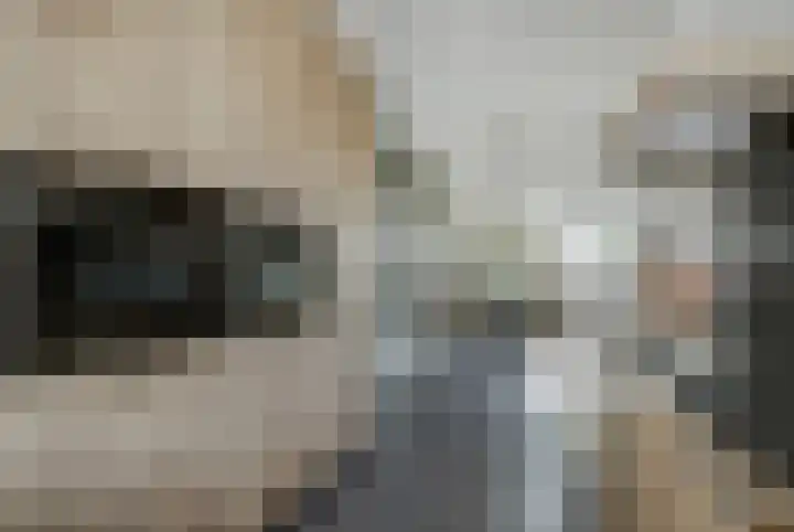 Palesstraat 9 Naaldwijk thumbnail 10