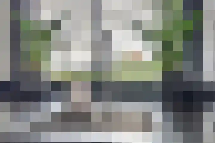 Palesstraat 9 Naaldwijk thumbnail 11