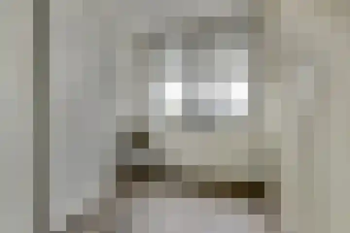 Palesstraat 9 Naaldwijk thumbnail 14