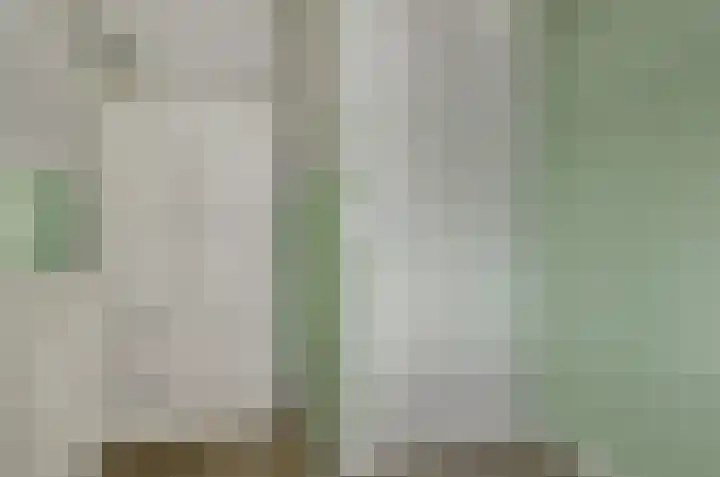 Palesstraat 9 Naaldwijk thumbnail 17