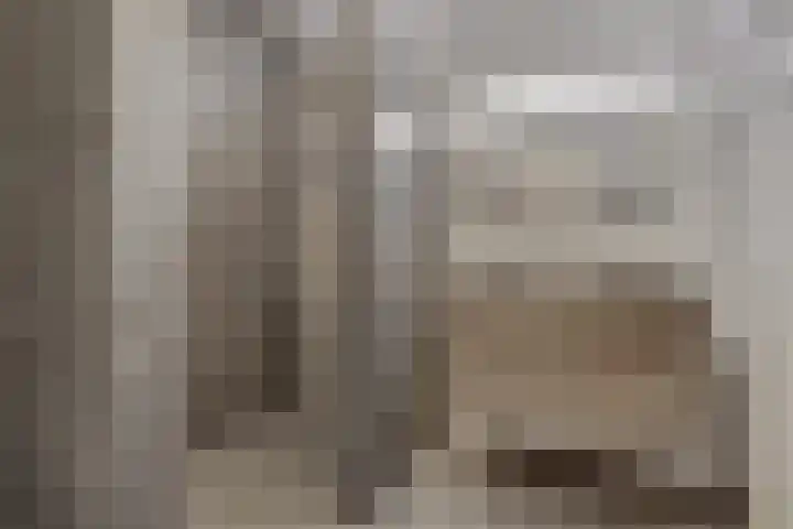 Palesstraat 9 Naaldwijk thumbnail 18