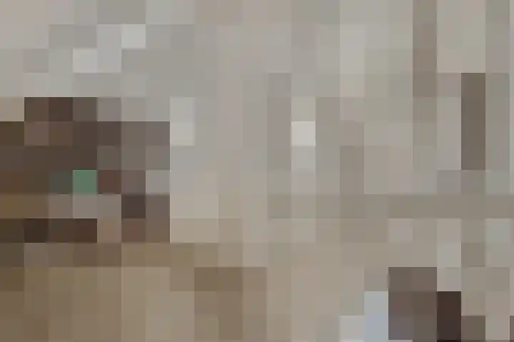 Palesstraat 9 Naaldwijk thumbnail 20