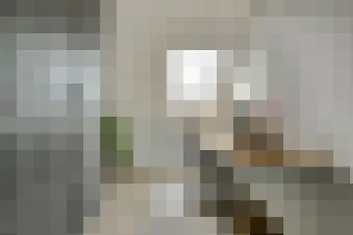 Palesstraat 9 Naaldwijk thumbnail 21