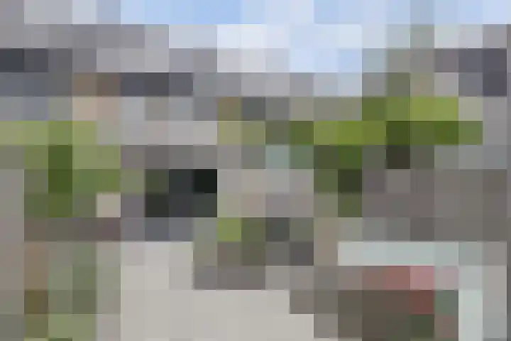 Palesstraat 9 Naaldwijk thumbnail 23