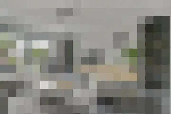 Palesstraat 9 Naaldwijk thumbnail 4